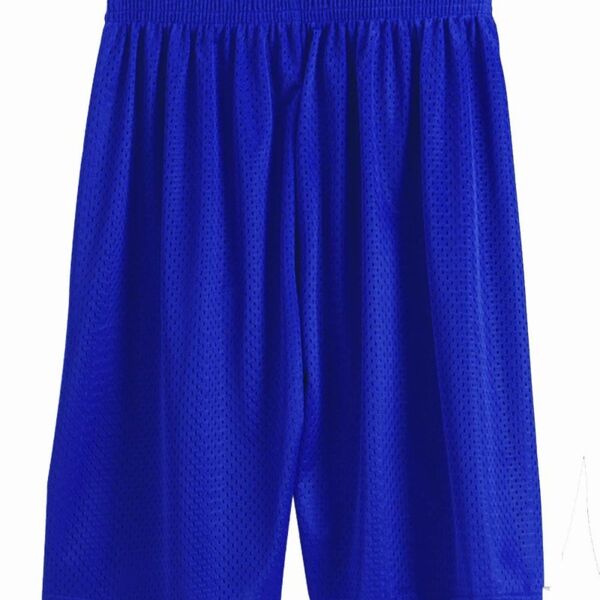 Pro Mesh 11'' Inseam Shorts Thumbnail